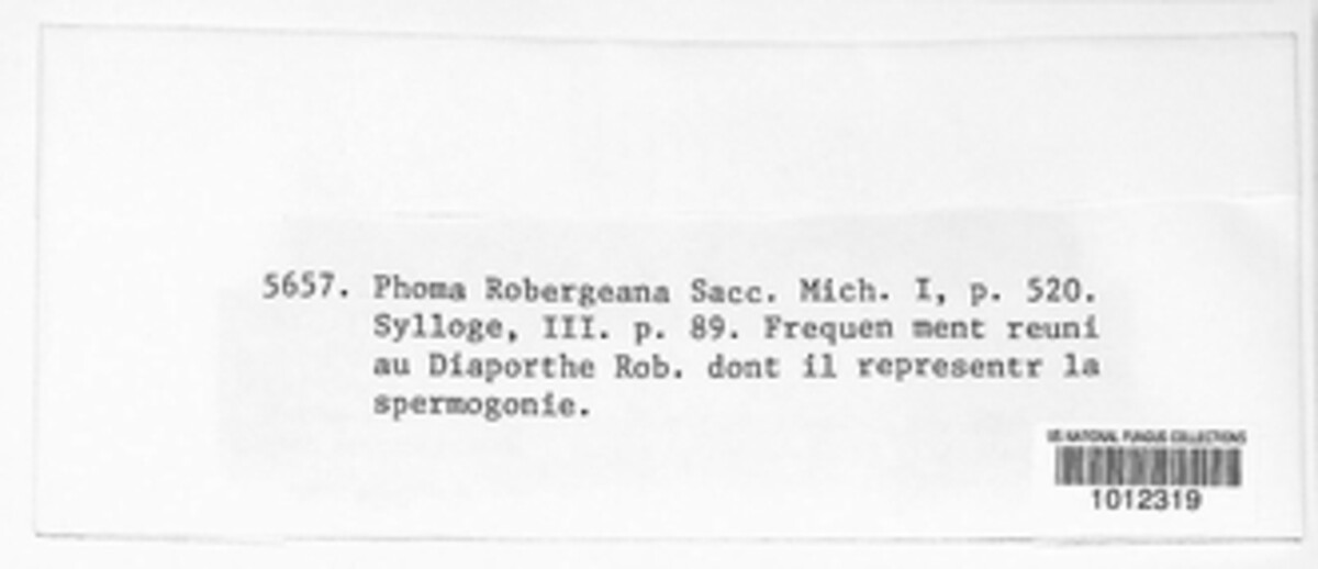 Phomopsis robergeana image